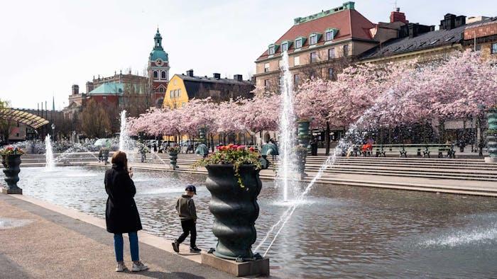 Föräldraledig i Stockholm? Här kommer tips på aktiviteter